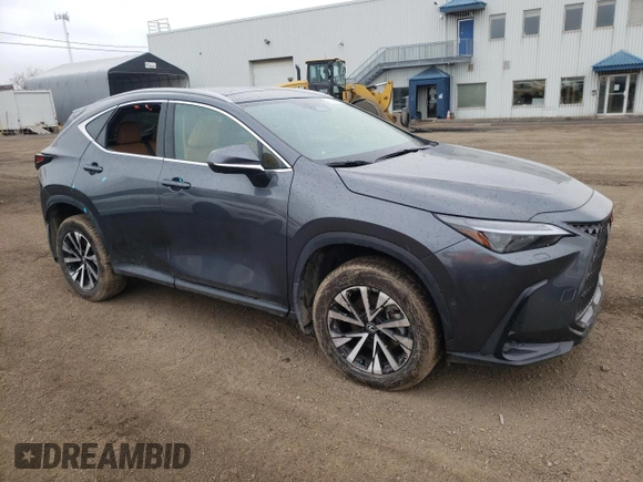 2025 Lexus NX 350h Premium with VIN 2T2GKCEZ5SC047322, listed as a Copart auction lot 56096035 with 5,012 mi miles and Salvage Title. Bid and sale history available at DreamBid. Image 4.
