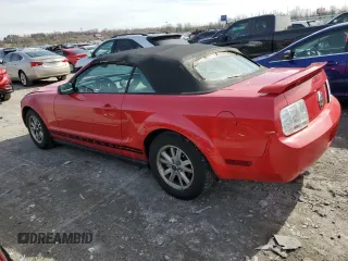 2006 Ford Mustang Standard with VIN 1ZVFT84N465151325, listed as a Copart auction lot 50571645 with Not Provided miles and Clean Title. Bid and sale history available at carsss.com. Image 2.