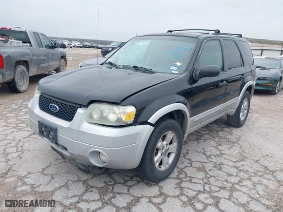 2007 Ford Escape XLT with VIN 1FMYU03107KA04717, listed as a IAAI auction lot 41418772 with 240,440 mi miles. Bid and sale history available at carsss.com. Image 2.