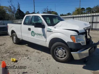 2014 Ford F-150 XL with VIN 1FTFX1CF9EFB33176, listed as a Copart auction lot 50166745 with 205,632 mi miles and Salvage Title. Bid and sale history available at carsss.com. Image 4.