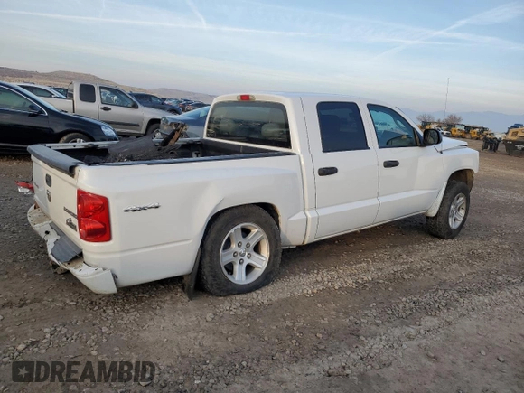 2010 Dodge Dakota Bighorn/Lonestar with VIN 1D7RW3GK8AS212476, listed as a Copart auction lot 81830154 with Not Provided miles and Salvage Title. Bid and sale history available at DreamBid. Image 3.