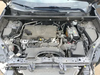 2019 Toyota RAV4 LE with VIN JTMH1RFV5KD027262, listed as a Copart auction lot 53493345 with 122,617 mi miles and Salvage title. Bid and sale history available at DreamBid. Image 11.