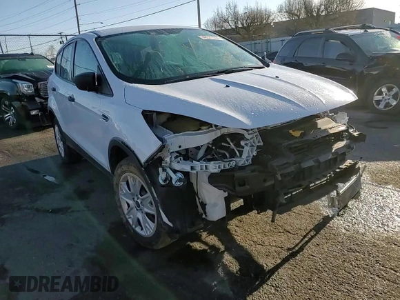 2013 Ford Escape S with VIN 1FMCU0F71DUC33370, listed as a Copart auction lot 49377235 with 41,655 mi miles and Salvage Title. Bid and sale history available at carsss.com. Image 12.