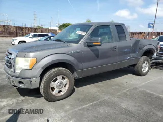 2009 Ford F-150 STX with VIN 1FTRX128X9KB12348, listed as a Copart auction lot 51002435 with 349,277 mi miles and Salvage Title. Bid and sale history available at carsss.com. Image 1.