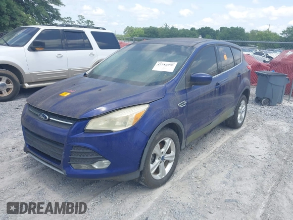 2013 Ford Escape SE with VIN 1FMCU0GX3DUB71937, listed as a IAAI auction lot 42282076 with Not provided miles and . Bid and sale history available at DreamBid. Image 2.