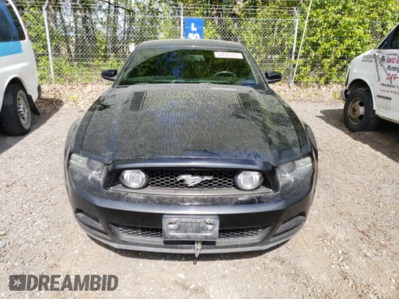 2014 Ford Mustang GT with VIN 1ZVBP8CFXE5334028, listed as a Copart auction lot 57643235 with 169,371 mi miles and Clean title. Bid and sale history available at DreamBid. Image 5.