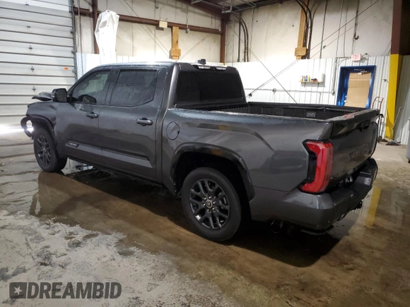 2022 Toyota Tundra Platinum with VIN 5TFNA5DB0NX019500, listed as a Copart auction lot 78663374 with 26,405 mi miles and Salvage title. Bid and sale history available at DreamBid. Image 2.