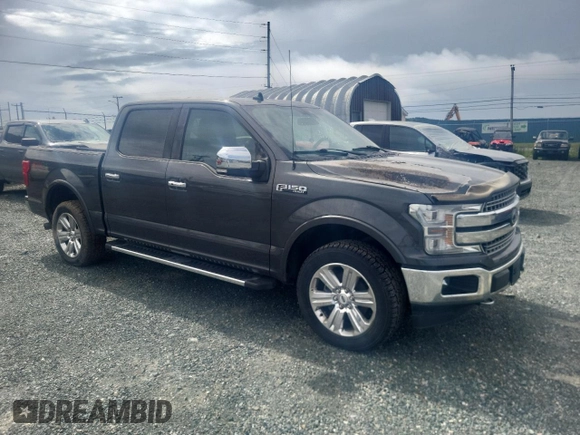 2020 Ford F-150 XL with VIN 1FTEW1E58LKF49324, listed as a Copart auction lot 58653615 with 118,520 mi miles and Salvage title. Bid and sale history available at DreamBid. Image 4.