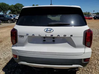 2020 Hyundai Palisade SEL with VIN KM8R34HE4LU110211, listed as a Copart auction lot 58011805 with 64,216 mi miles and Salvage title. Bid and sale history available at DreamBid. Image 6.