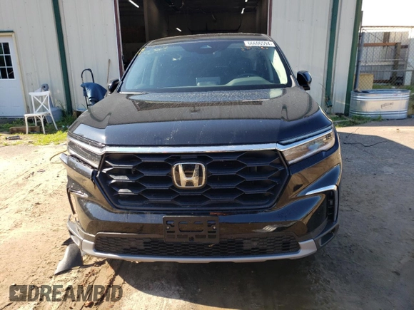 2025 Honda Pilot EX-L with VIN 5FNYG1H42SB007113, listed as a Copart auction lot 66606594 with 816 mi miles and Salvage Title. Bid and sale history available at carsss.com. Image 5.