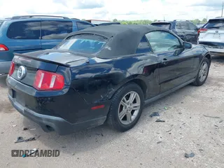 2010 Ford Mustang V6 with VIN 1ZVBP8EN7A5127918, listed as a IAAI auction lot 42228710 with 174,771 mi miles and . Bid and sale history available at DreamBid. Image 4.