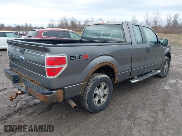 2010 Ford F-150 XL with VIN 1FTEX1E82AFA32002, listed as a IAAI auction lot 41874430 with 264,658 mi miles. Bid and sale history available at carsss.com. Image 4.