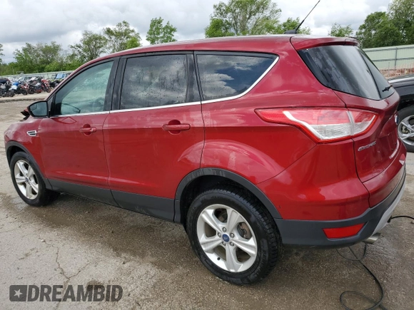 2014 Ford Escape SE with VIN 1FMCU9G91EUA15113, listed as a Copart auction lot 57058905 with 93,087 mi miles and Salvage title. Bid and sale history available at DreamBid. Image 2.