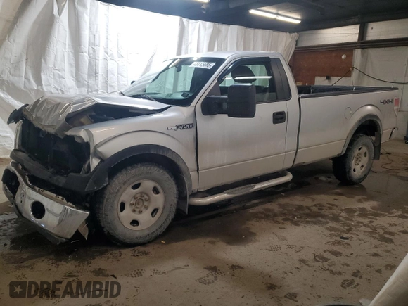 2009 Ford F-150 XL with VIN 1FTVF14V99KB49833, listed as a Copart auction lot 43116685 with 124,541 mi miles and Salvage title. Bid and sale history available at DreamBid. Image 1.