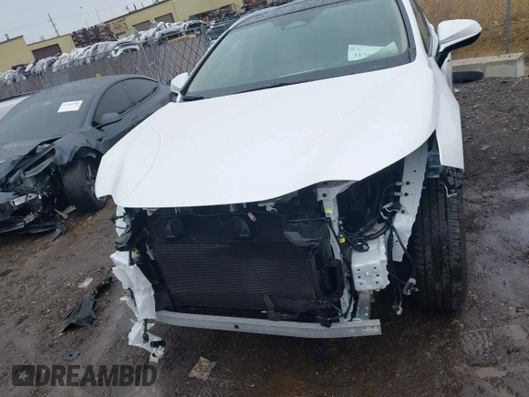 2025 Lexus NX with VIN 2T2HKCEZ3SC043032, listed as a IAAI auction lot 41704791 with 1,135 mi miles. Bid and sale history available at carsss.com. Image 13.