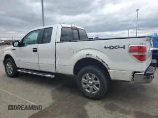 2013 Ford F-150 XL with VIN 1FTFX1ET4DFD31973, listed as a Copart auction lot 53285255 with 201,594 mi miles and Clean title. Bid and sale history available at DreamBid. Image 2.
