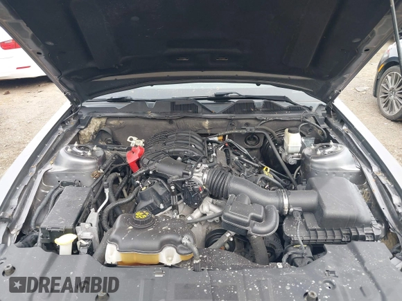 2013 Ford Mustang V6 with VIN 1ZVBP8AMXD5260397, listed as a IAAI auction lot 41729133 with 138,797 mi miles. Bid and sale history available at carsss.com. Image 10.