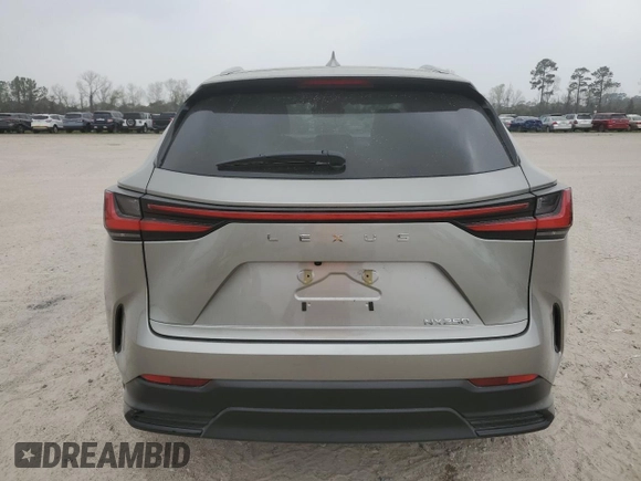 2022 Lexus NX with VIN 2T2ADCAZXNC001110, listed as a Copart auction lot 49154505 with 2,623 mi miles and Salvage Title. Bid and sale history available at carsss.com. Image 6.