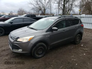 2013 Ford Escape SE with VIN 1FMCU0G96DUD13019, listed as a Copart auction lot 49907175 with 238,248 mi miles and Clean Title. Bid and sale history available at carsss.com. Image 1.