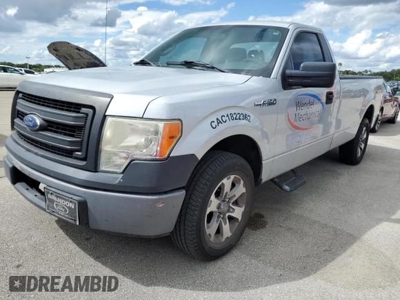 2013 Ford F-150 XL with VIN 1FTNF1CT5DKD55384, listed as a Copart auction lot 74448514 with 0 mi miles and Salvage Title. Bid and sale history available at carsss.com. Image 1.