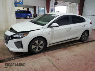 2019 Hyundai Ioniq Limited with VIN KMHC75LD5KU172262, listed as a Copart auction lot 81106074 with 119,184 mi miles and Salvage Title. Bid and sale history available at DreamBid. Image 1.