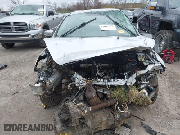 2015 Ford Focus SE with VIN 1FADP3F20FL262380, listed as a IAAI auction lot 42019840 with Not provided miles and . Bid and sale history available at DreamBid. Image 12.