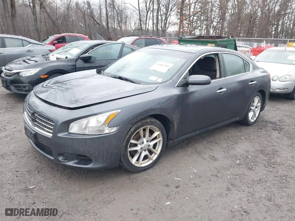 2009 Nissan Maxima 3.5 SV w/Sport Pkg with VIN 1N4AA51E19C818847, listed as a IAAI auction lot 41866300 with 172,446 mi miles. Bid and sale history available at carsss.com. Image 2.