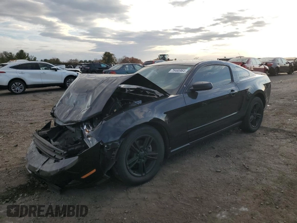 2011 Ford Mustang V6 z VIN 1ZVBP8AM1B5124558, wystawiony jako Copart lot #41516615 z przebiegiem 127 563 mil mil oraz Szkoda całkowita • Salvage title. Historia ofert i sprzedaży dostępna na DreamBid. Obrazek 1.