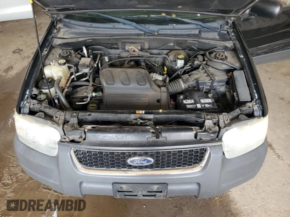 2003 Ford Escape XLT Popular 2 with VIN 1FMYU93193KB87078, listed as a Copart auction lot 59018205 with 222,082 mi miles and Salvage title. Bid and sale history available at DreamBid. Image 12.