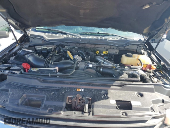2017 Ford Super Duty F-250 SRW XLT with VIN 1FTBF2BTXHED86449, listed as a Copart auction lot 66594654 with 110,091 mi miles and Salvage Title. Bid and sale history available at carsss.com. Image 11.
