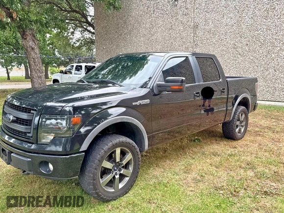 2013 Ford F-150 XL with VIN 1FTFW1EF4DKE96944, listed as a Copart auction lot 63713125 with 233,274 mi miles and Clean title. Bid and sale history available at DreamBid. Image 2.