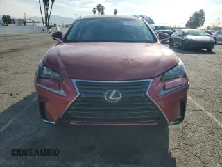2020 Lexus NX 300 with VIN JTJAARBZXL5001159, listed as a Copart auction lot 50264585 with 49,024 mi miles and Salvage title. Bid and sale history available at DreamBid. Image 5.