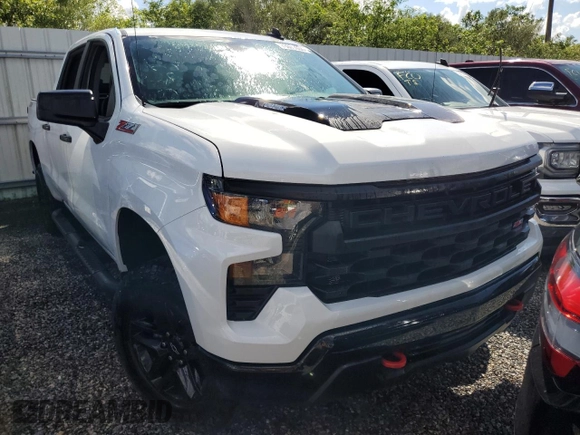 2024 Chevrolet Silverado 1500 Custom Trail Boss with VIN 3GCPDCEK5RG428461, listed as a Copart auction lot 73671034 with 0 mi miles and Non Repairable. Bid and sale history available at carsss.com. Image 5.