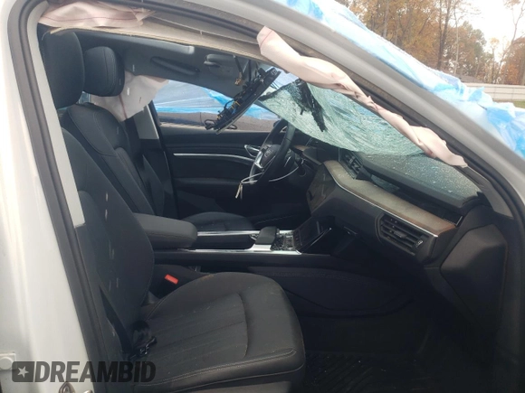 2019 Audi e-tron Premium Plus z VIN WA1LAAGE8KB023044, wystawiony jako Copart lot #65037782 z przebiegiem Nie podano mil oraz . Historia ofert i sprzedaży dostępna na DreamBid. Obrazek 5.