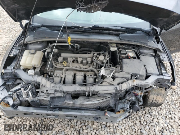 2017 Ford Focus SE with VIN 1FADP3F29HL304340, listed as a Copart auction lot 51268205 with 117,076 mi miles and Salvage Title. Bid and sale history available at carsss.com. Image 11.