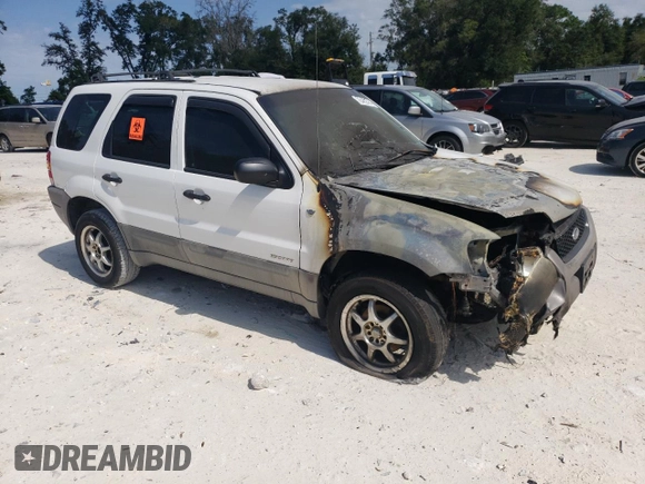 2002 Ford Escape XLS Choice with VIN 1FMYU011X2KB24469, listed as a Copart auction lot 76462504 with Not provided miles and Salvage title. Bid and sale history available at DreamBid. Image 4.