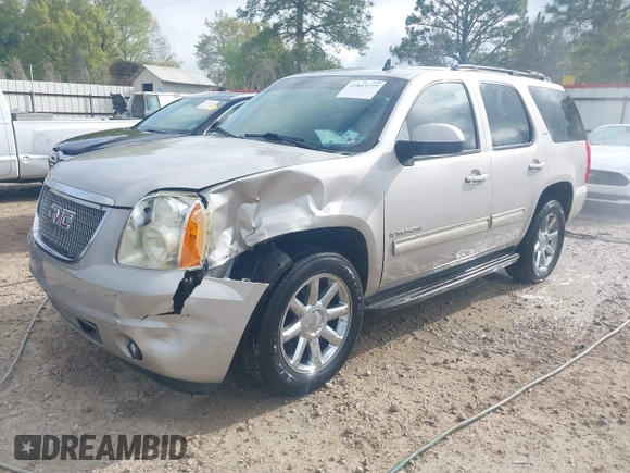 2009 GMC Yukon SLT w/4SB with VIN 1GKFC33029R273453, listed as a IAAI auction lot 41843277 with 194,684 mi miles. Bid and sale history available at carsss.com. Image 17.