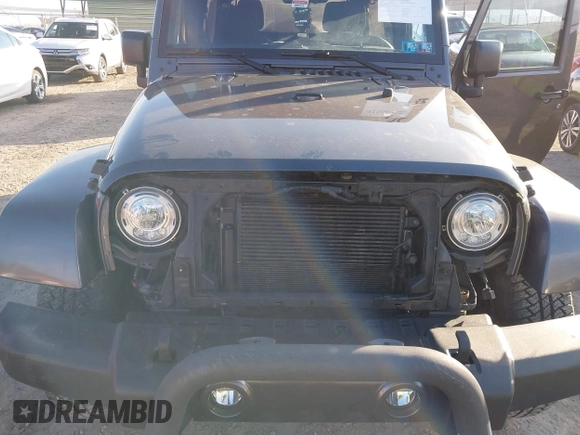 2017 Jeep Wrangler Unlimited Sahara with VIN 1C4BJWEG9HL507908, listed as a IAAI auction lot 41880209 with 99,773 mi miles. Bid and sale history available at carsss.com. Image 6.