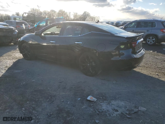 2017 Nissan Maxima SV with VIN 1N4AA6AP9HC421439, listed as a Copart auction lot 45673005 with 118,260 mi miles and Salvage Title. Bid and sale history available at carsss.com. Image 2.