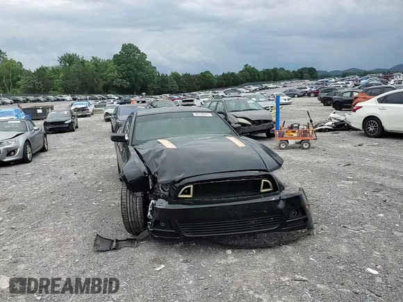 2014 Ford Mustang V6 с VIN 1ZVBP8AM5E5244674, выставлен на аукционе Copart как лот 60330545 с пробегом 148 337 миль миль и Списание • Salvage title. История ставок и продаж доступна на DreamBid. Изображение 14.