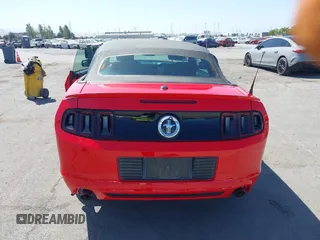 2014 Ford Mustang V6 with VIN 1ZVBP8EM7E5316940, listed as a IAAI auction lot 42555358 with Not provided miles and . Bid and sale history available at DreamBid. Image 17.