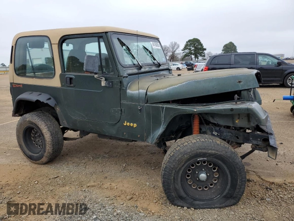 1995 Jeep Wrangler S with VIN 1J4FY19P5SP309461, listed as a Copart auction lot 44160095 with 264,727 mi miles and Salvage Title. Bid and sale history available at carsss.com. Image 4.
