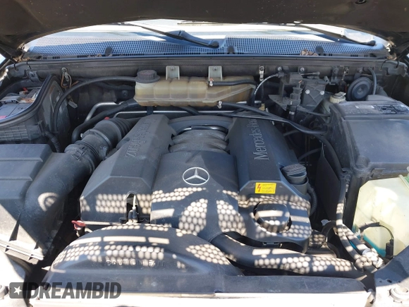 2000 Mercedes-Benz M 320/430/500 with VIN 4JGAB54E5YA165724, listed as a IAAI auction lot 42001654 with 138,997 mi miles and . Bid and sale history available at DreamBid. Image 10.