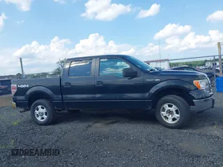 2010 Ford F-150 XL z VIN 1FTEW1E85AFC37042, wystawiony jako IAAI lot #42629730 z przebiegiem 195 760 mil mil oraz . Historia ofert i sprzedaży dostępna na DreamBid. Obrazek 13.