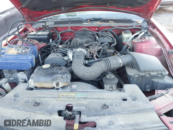 2005 Ford Mustang Deluxe with VIN 1ZVFT80N855132474, listed as a IAAI auction lot 42048955 with 199,930 mi miles. Bid and sale history available at carsss.com. Image 10.