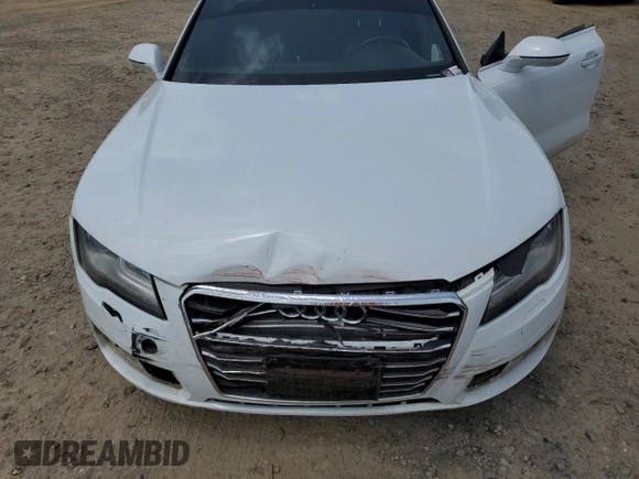 2013 Audi A7 Premium Plus с VIN WAUYGAFC0DN150198, выставлен на аукционе Copart как лот 57154595 с пробегом 144 056 миль миль и Списание • Salvage title. История ставок и продаж доступна на DreamBid. Изображение 11.