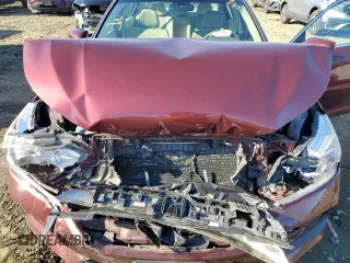 2016 Honda Accord LX with VIN 1HGCR2F30GA008069, listed as a Copart auction lot 49627865 with Not Provided miles and Salvage Title. Bid and sale history available at DreamBid. Image 12.