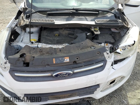 2014 Ford Escape SE with VIN 1FMCU0G93EUB17038, listed as a Copart auction lot 49819315 with 0 mi miles and Salvage Title. Bid and sale history available at carsss.com. Image 13.