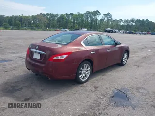 2011 Nissan Maxima SV с VIN 1N4AA5AP1BC832304, выставлен на аукционе IAAI как лот 42524424 с пробегом 37 546 миль миль и . История ставок и продаж доступна на DreamBid. Изображение 4.