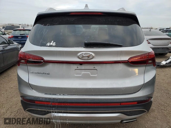 2021 Hyundai Santa Fe Essential with VIN 5NMS24AJ9MH336415, listed as a Copart auction lot 41700765 with 47,166 mi miles and Salvage Title. Bid and sale history available at carsss.com. Image 6.